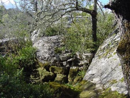 dolmen-chandolas-08
