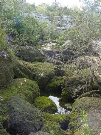 dolmen-chandolas-09